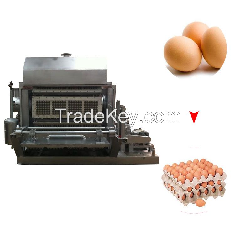 Egg tray making machine with Drying
