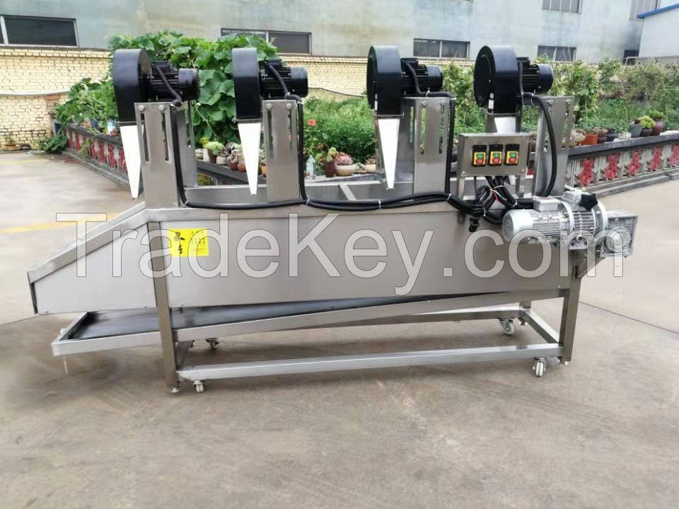 industrial washing and drying production line  for fruits vegetables, bag packaged foods