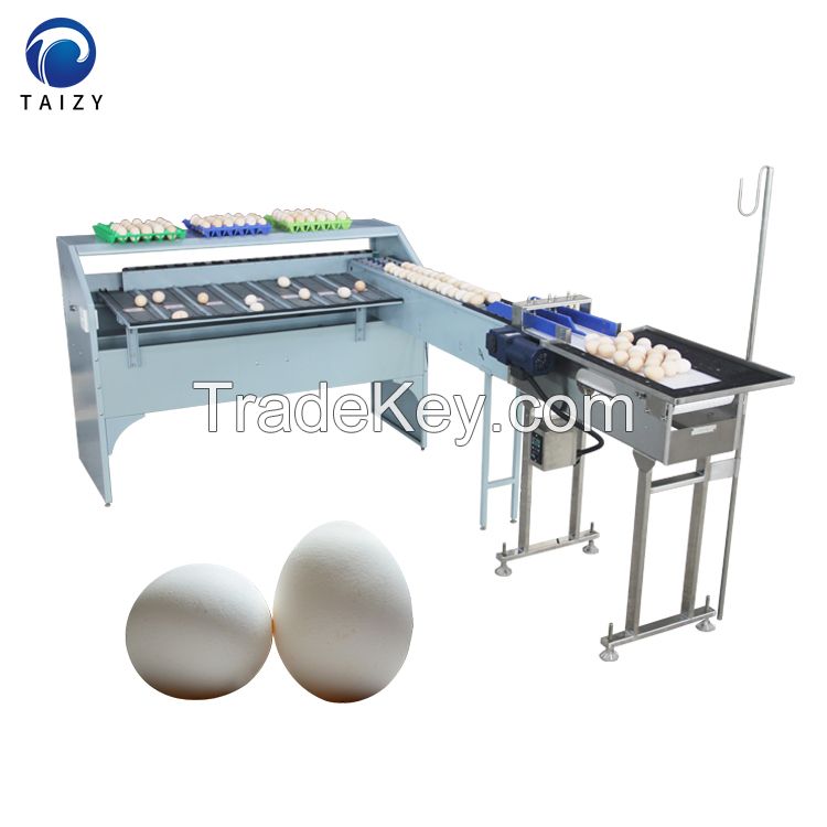 Chicken egg grading machine automatic egg sorting machine