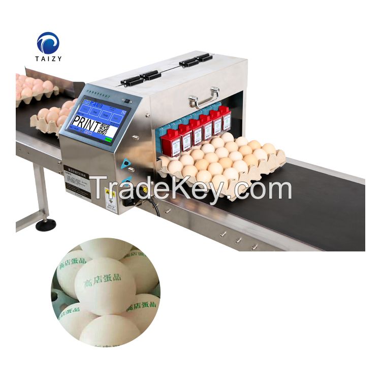 Automatic Expired Date QR Code Inkjet Egg Printing Machine With Conveyor