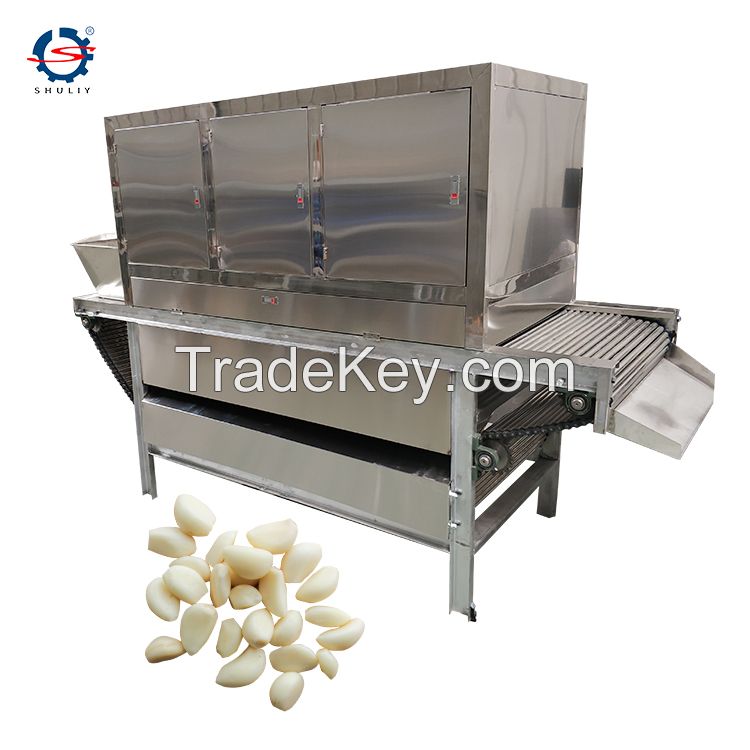 High-Efficiency Cashew Nut Peeler Onion Garlic Peeling Machine