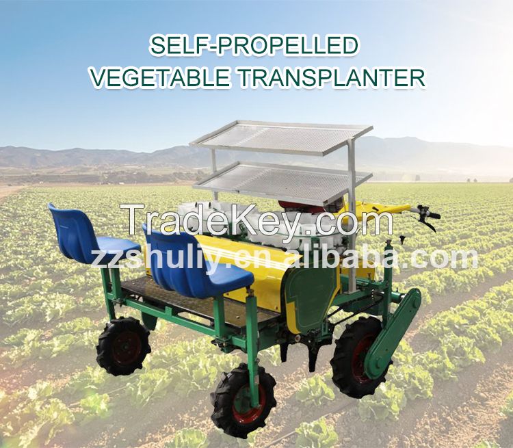 Vegetable fruit Seedling Transplanter Pepper seedlings Planting machine