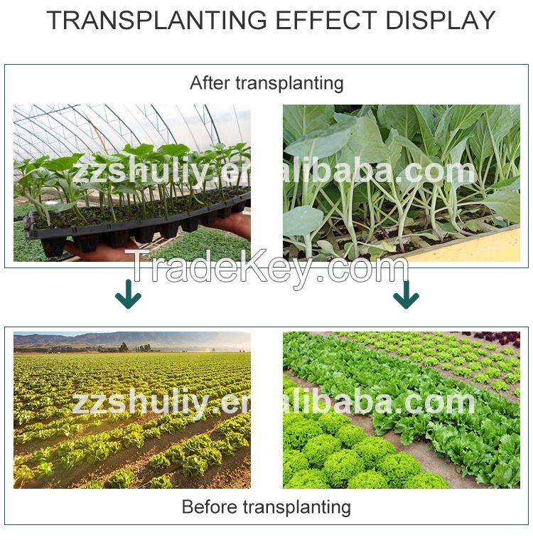 seedling transplanter vegetable transplanter machine
