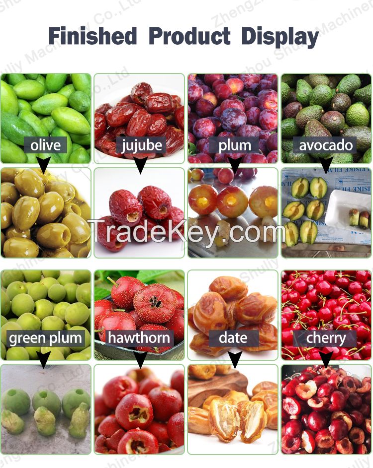 Dry Dates Pitting Fruit Kernel Removing Machine Jujube Seed Remove Machine