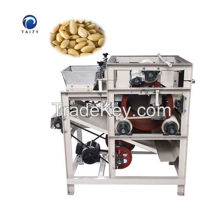 Multifunctional stainless steel almond nut slicer - Taizy