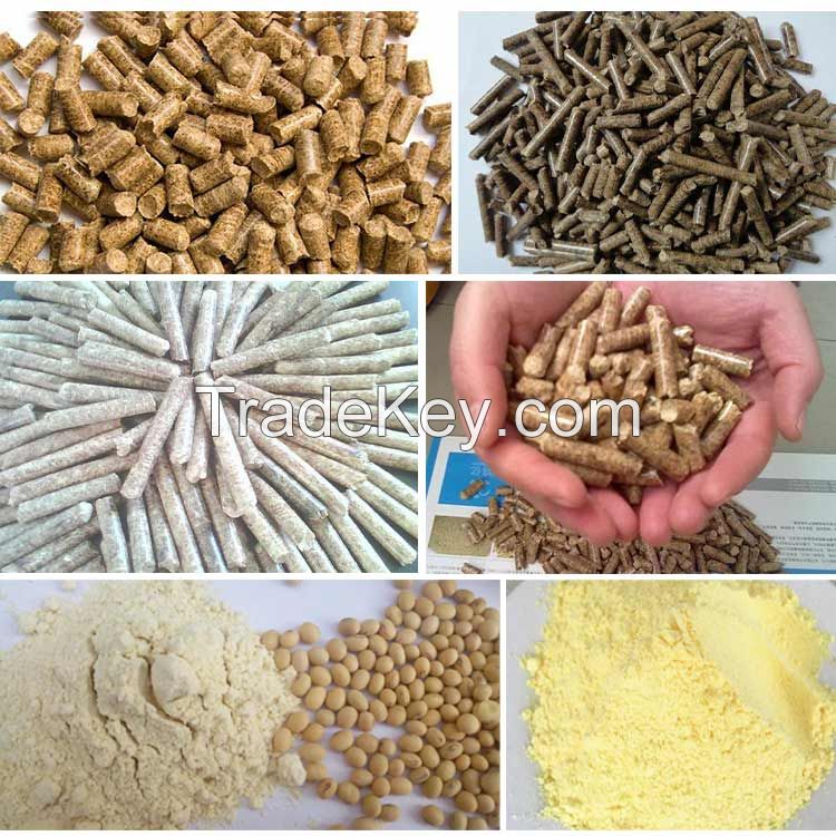 electric feed pellet machine philippines animal feed pelletizing machine small feed pellet plant