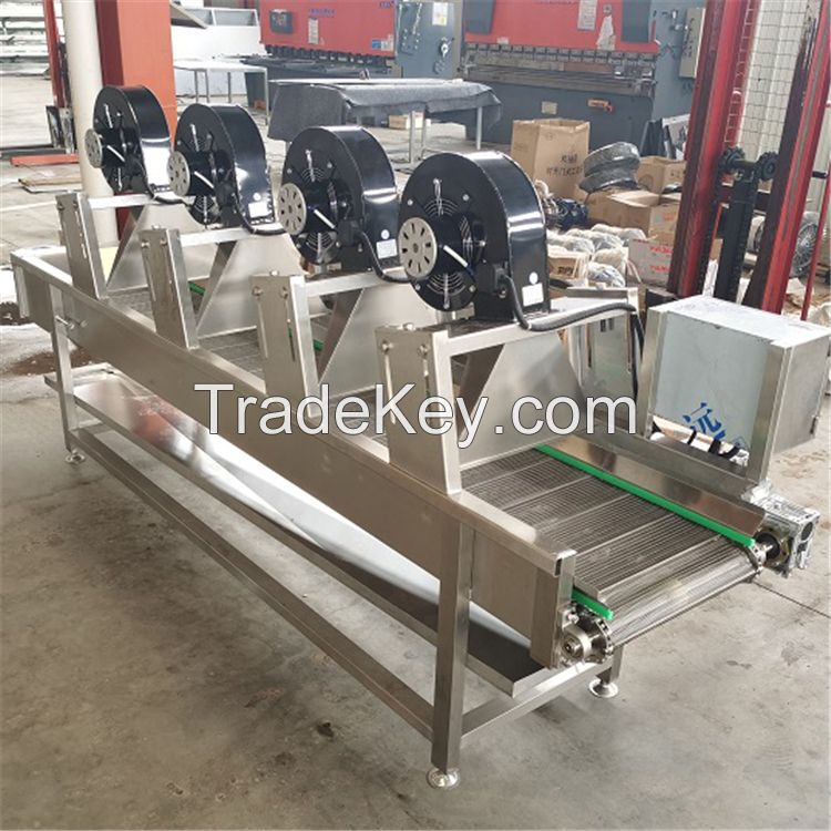 Conveyor Type Vegetable Dryer After Washing Fruit Air Cooling Drying Machine