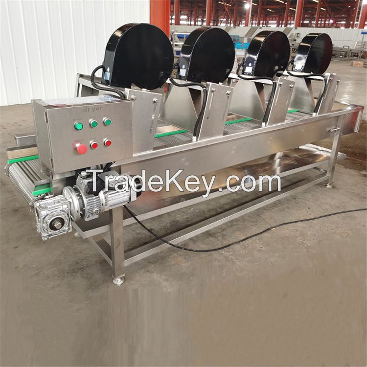 Conveyor Type Vegetable Dryer After Washing Fruit Air Cooling Drying Machine