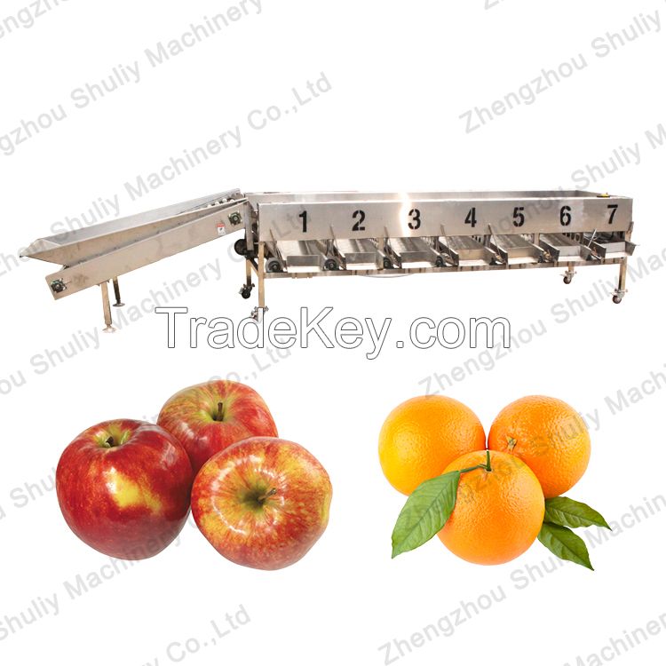 Factory Supply Fruit Lemon Orange  Sorter Machine Vegetable Potato Tomato Washing and Grading Processing Line 