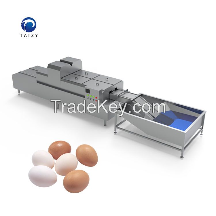 hot sale quail eggs washing machines egg washing and cleaning line salted egg cleaning machine