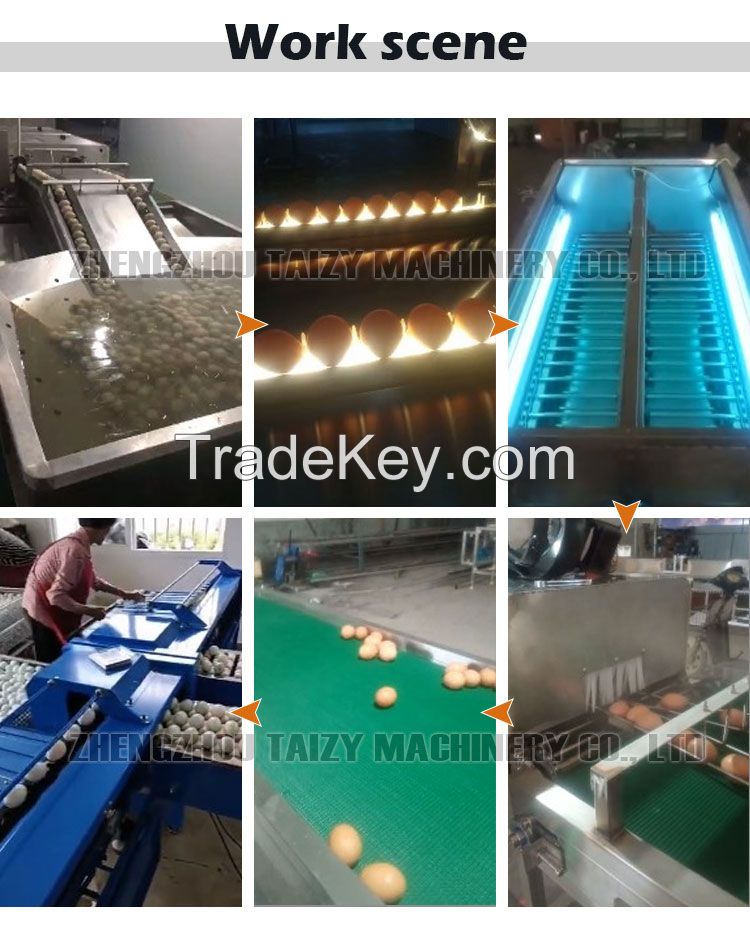hot sale quail eggs washing machines egg washing and cleaning line salted egg cleaning machine