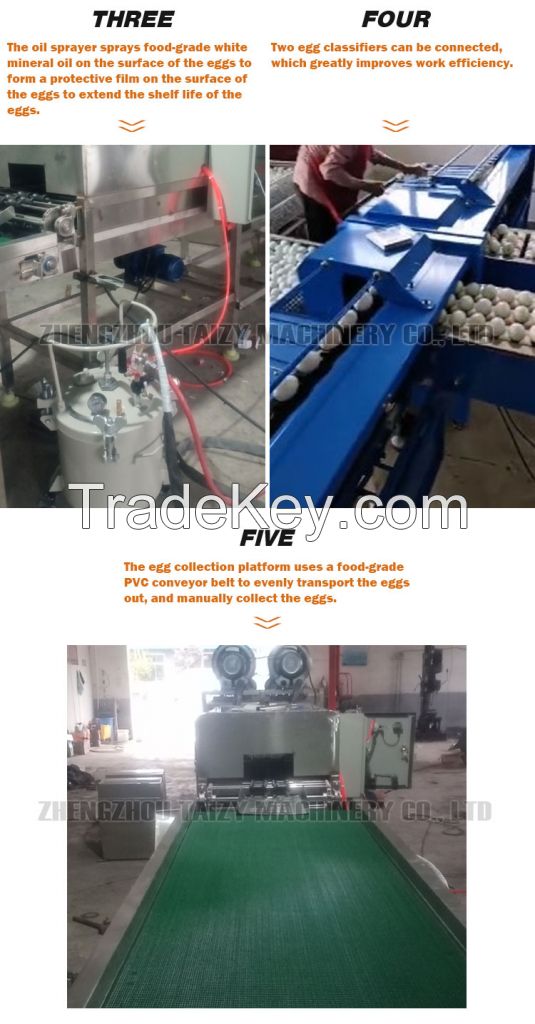 hot sale quail eggs washing machines egg washing and cleaning line salted egg cleaning machine