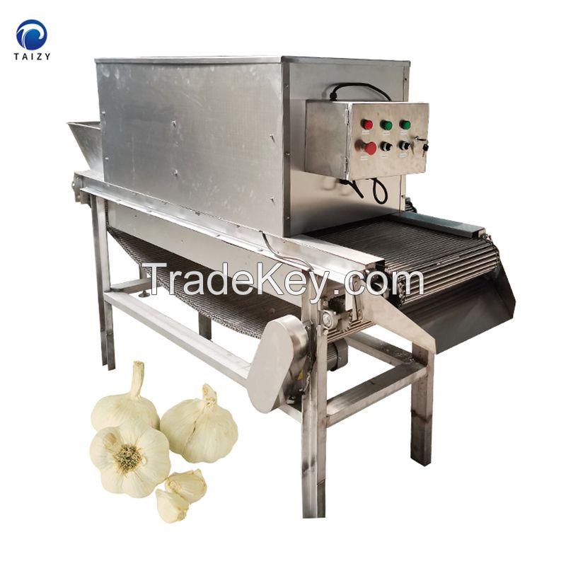 industrial wet garlic peeler machine commercial fresh garlic onion peeler 