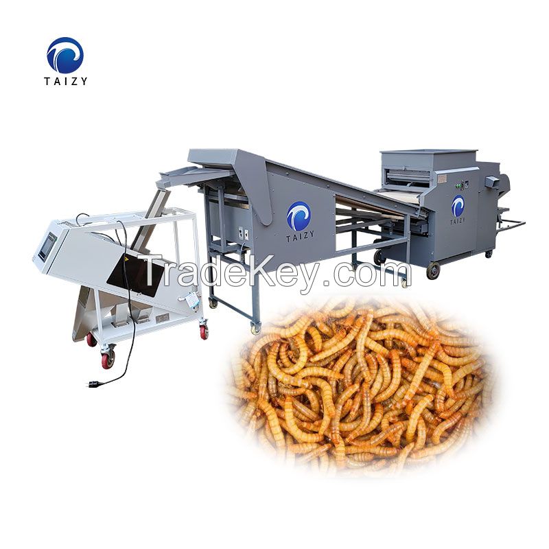 Large capacity tenebrio molitor sorting machine mealworm unit color sorting machine