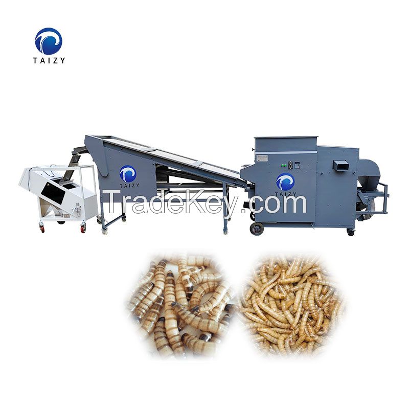 Industrial mealworm unit separating machines  tenebrio molitor sorting and color selecting machine