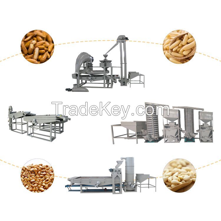 Automatic pine nut cracker machine pine nuts shelling peeling machine