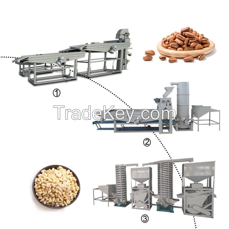 automatic cedar buckwheat melon seeds peeling cracker pine nut processing machine