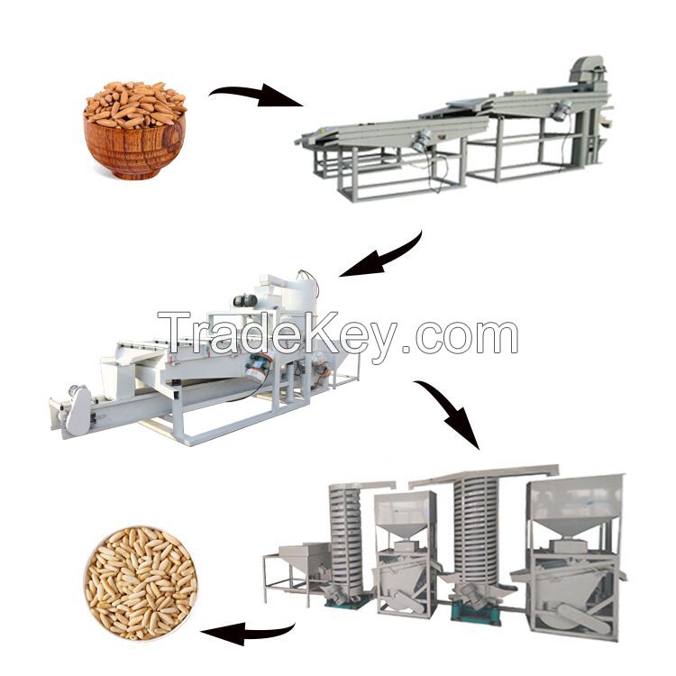 Pine processing machine /Pine nut tower seed nut separating machine