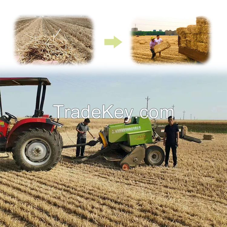 Small Square Hydraulic Press Baler Straw Baler Machine For Grass In Agriculture