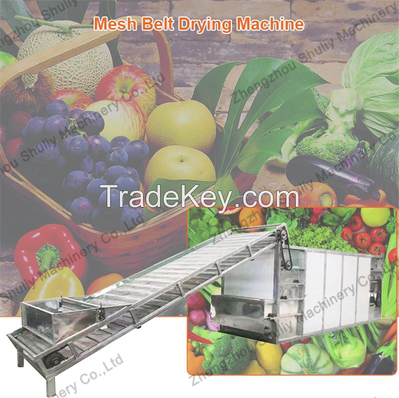 factory outlet tunnel conveyor mesh belt dryer for fruits and vegetables