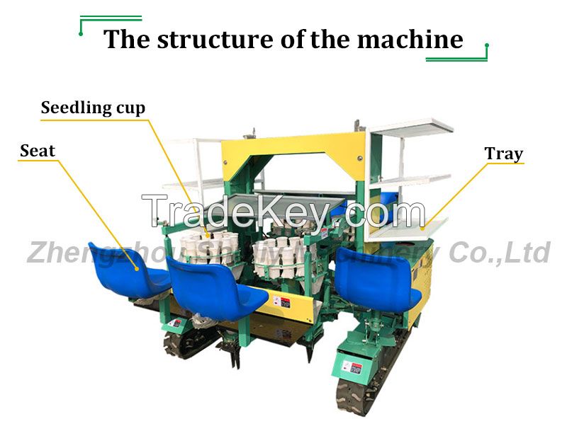 Tomato Pepper Lettuce Seedling Transplanter machine