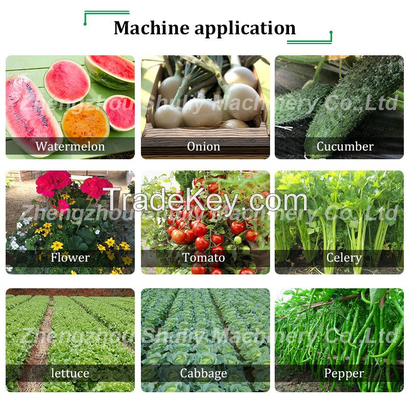 Tomato Pepper Lettuce Seedling Transplanter machine