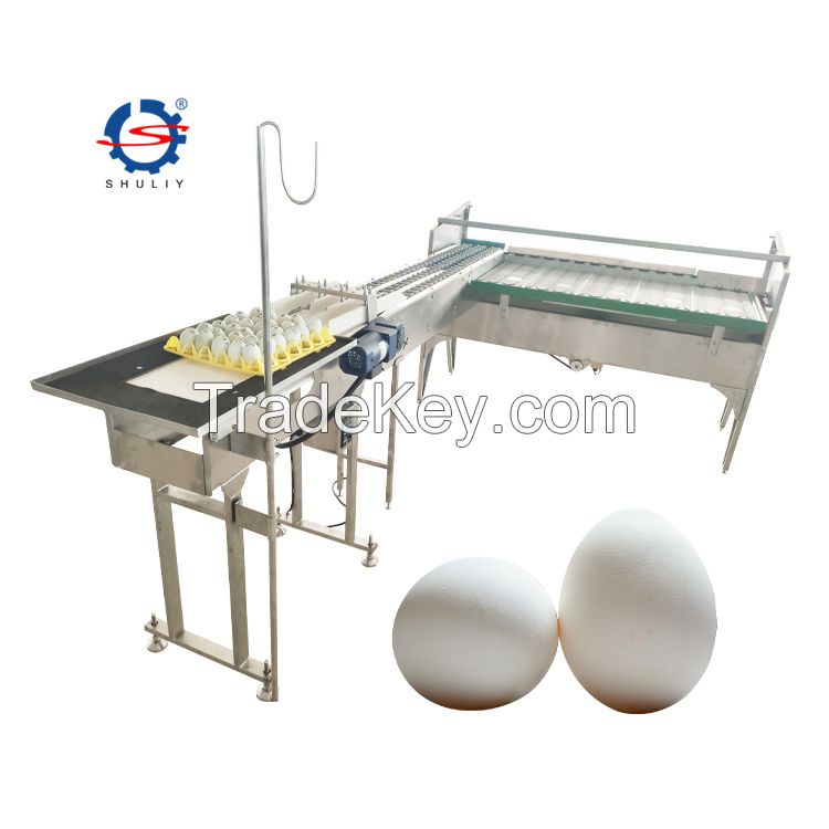 egg grading sorting machine/egg grader for sale egg grading packing machine