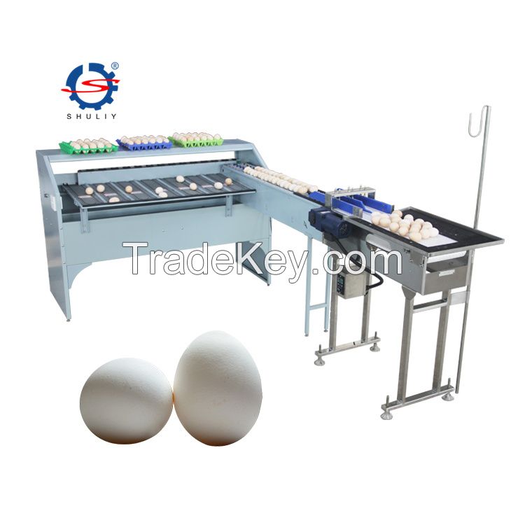 egg grading sorting machine/egg grader for sale egg grading packing machine