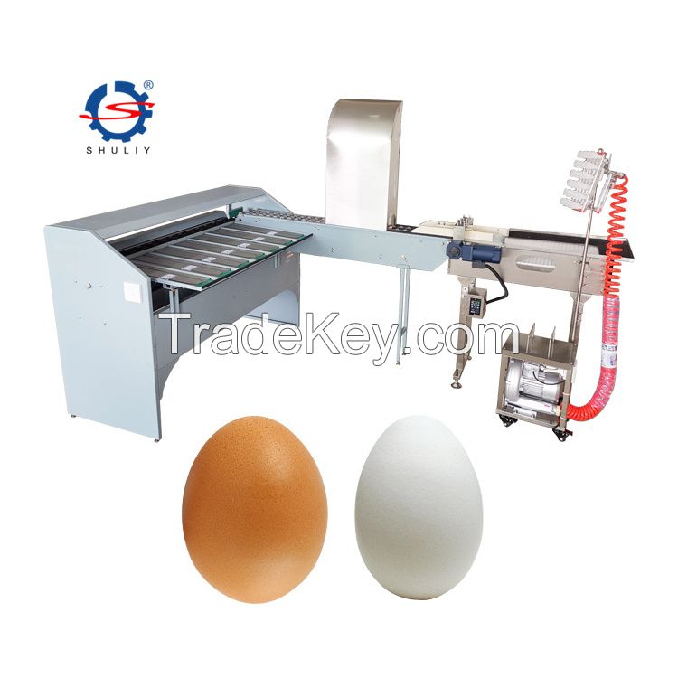 egg grading sorting machine/egg grader for sale egg grading packing machine