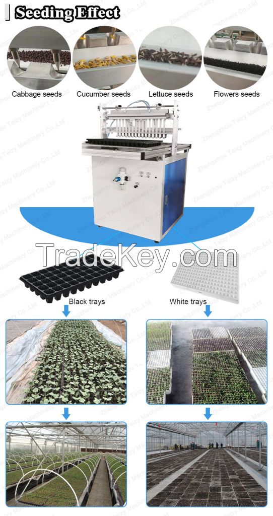 Full Automatic Tray Seedling Machine Vegetable Seed Plant Machine