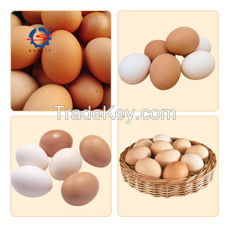 Large capacity egg sorting machine for sale chicken egg grader farm use