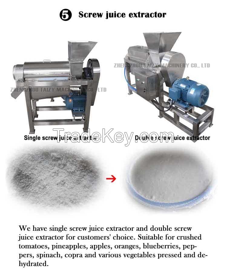 Commercial Fruit Juice Making Machine Coconut Juice Milk Juicing Machine