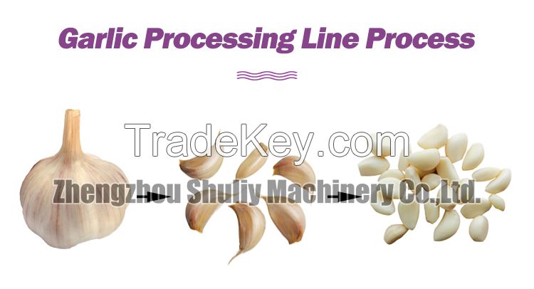 Electric garlic clove separation machine garlic clove separator garlic Peeling machine