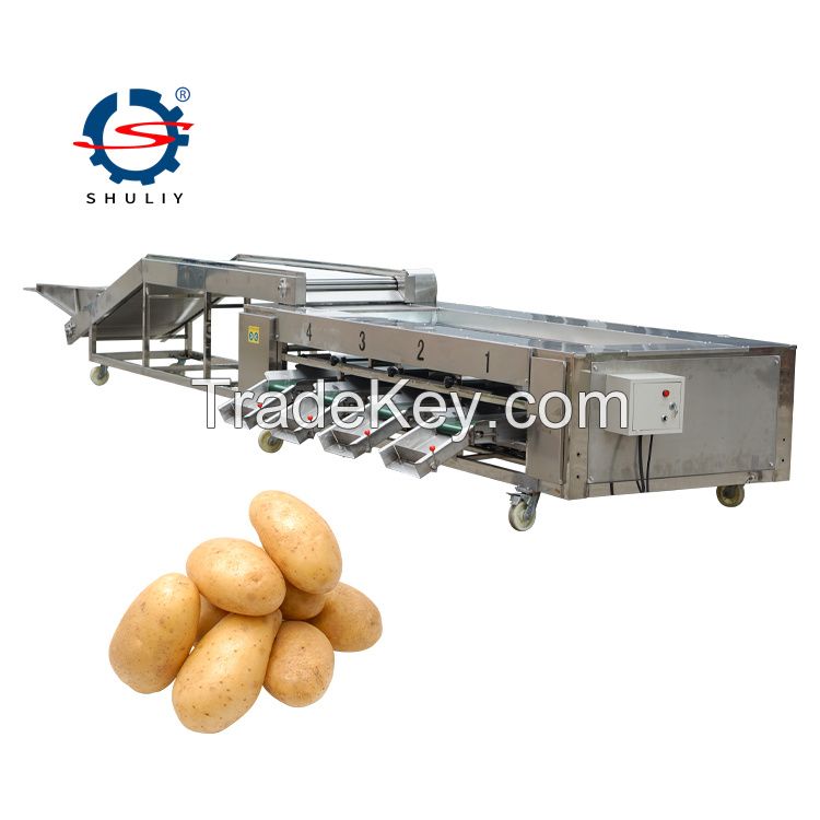 Automatic fruit grading machine auto industrial fruits weight sorting line machines equipment machinery 