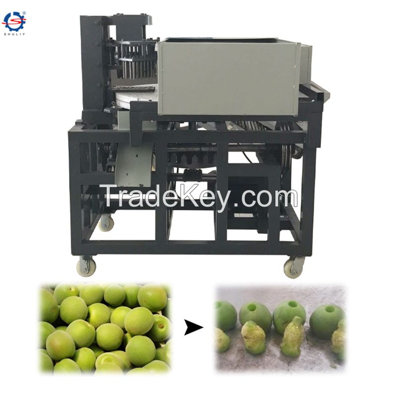 Industrial Plum Decorn Cherry Corer Olive Coring Apricot Destone Seeding Remove Fruit Pitting Machine