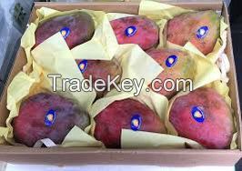 fresh mango naomi or kent