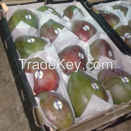 fresh mango naomi or kent