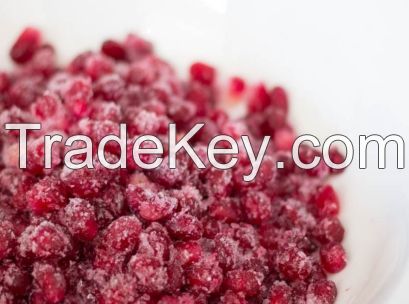 IQF Frozen Pomegranate Seeds - Frozen Fruit