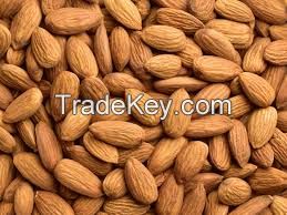Almond Nuts Macadamia Nuts Betel Nuts Cashew Nuts Pistachio Nuts Hazel Nuts Walnuts Peacan Nuts ChestNuts Pine Nuts