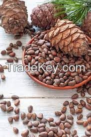 PINE nuts