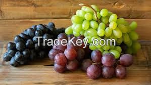 FRESH GRAPES