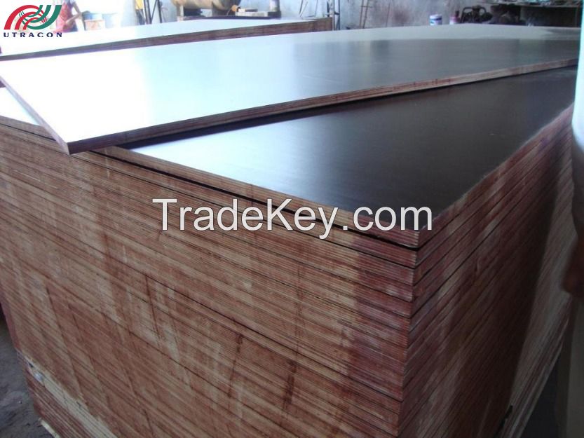 Super Durable Plywood and Plastic Sheet