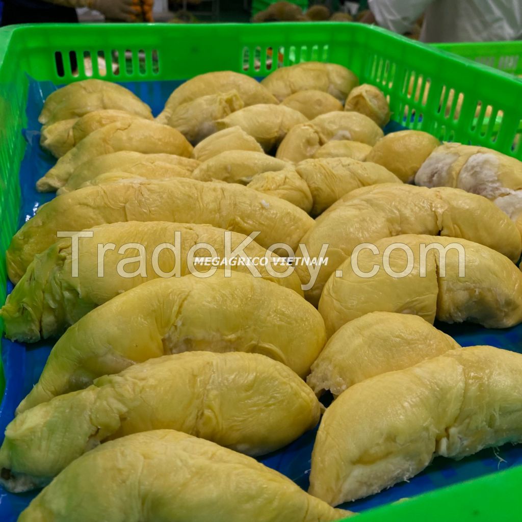 Frozen Ri6 Durian