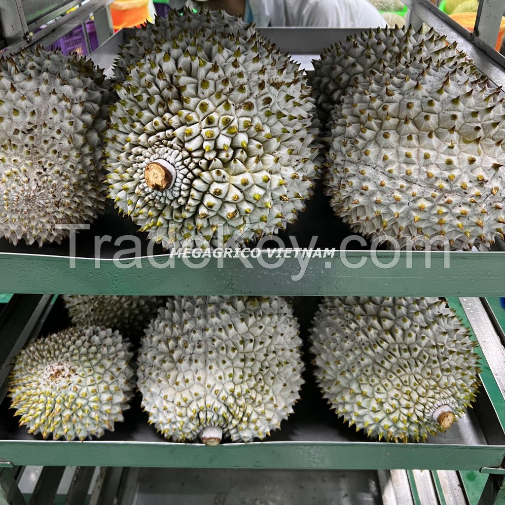 Frozen Ri6 Durian