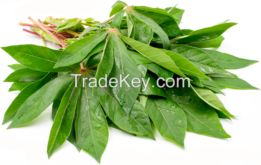 Frozen Cassava Leaves