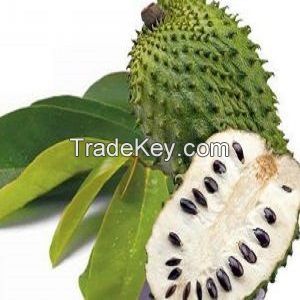 Frozen Soursop