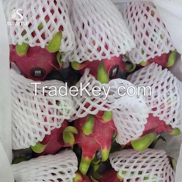 Fresh Dragon Fruit from Vietnam