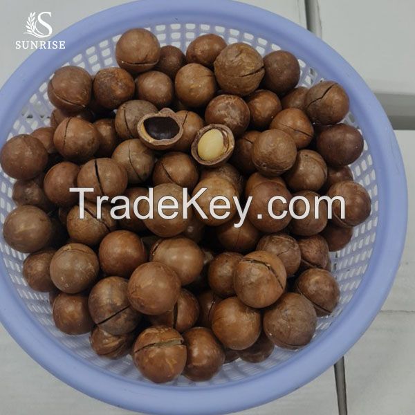 Macadamia Nuts (Saw Cut, Flavored / non Flavored) 