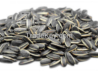 sunflower seeds 