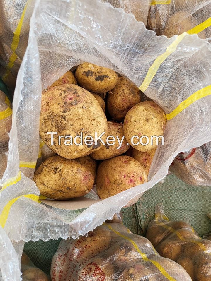 Fresh Potato, Gold Potato, Red Potato ,sweet Potato
